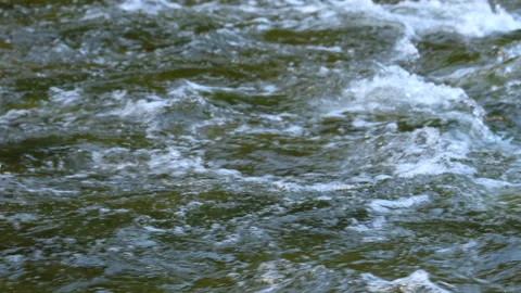 Close Up Of Fast Moving White Water on Clean Northern Canadian Lake Stock Footage 200279640
