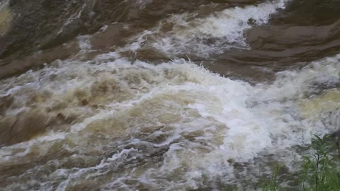 Close-up of a fast river rapids with powerful water flow. With audio. Vídeos de archivo 329063969
