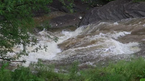 Close-up of a fast river rapids with powerful water flow. With audio. Vídeos de archivo 329063994