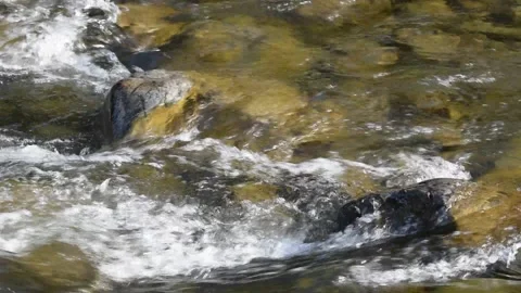 Close up of fast-running stream, Tararua Forest Park, New Zealand Stock Footage 135940550