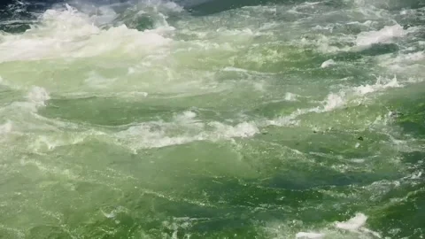 Close-up of fast whitewater rapids in Tacen, Slovenia, with green river waves Stock Footage 341412749