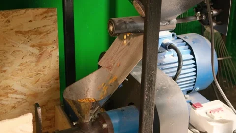 Close-up of a feed extruder machine processing corn kernels for making animal 스톡 동영상 329621038