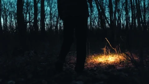 Close Up Feet Of One Man Walking In Dark Forest With Flashlight lifestyle Stock Footage 334002282