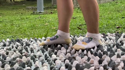 Close-up Of Feet In Socks Walking Slowly On Pebble Stone Reflexology Path Stock Footage 336525786