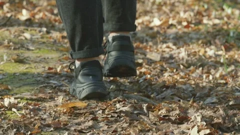 Close-up of feet walking on a forest floor covered in autumn leaves Stock Footage 331474290