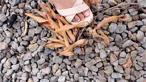 Close up of Feet Walking on Pebbles Stock Footage 331416273