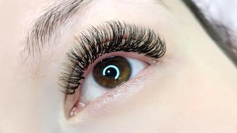 Close up of female eye with eyelash extensions ,eyelash extension procedure Stock Photos