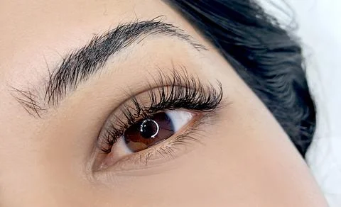 Close up of female eye with eyelash extensions ,eyelash extension procedure Stock Photos
