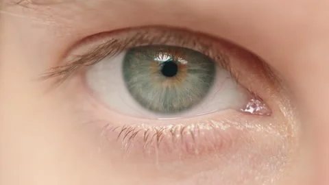 Close up of female eye opening macro detail green eyeball Stock Footage 156381433
