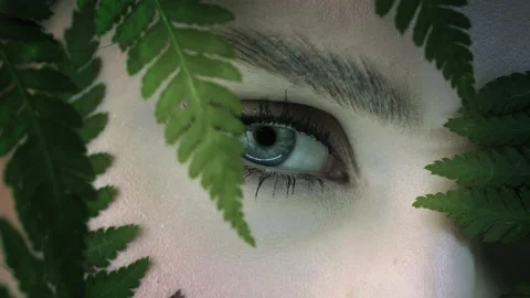 Close-up of female eyes. Stock Footage 156648528