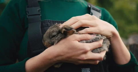 A close-up of a female farmer holding a rabbit in her hands. Stock Footage 278024608