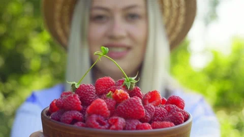 Close-up of a female farmer holding a raspberry harvest in a plate. Stock Footage 263246068