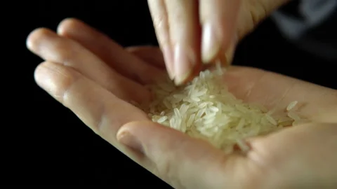 Close-up of female fingers stir rice in hand on a black background. Stock Footage 86742657