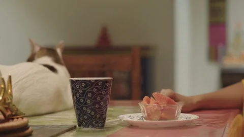 Close up of female hand with a cup, a fork a table and a cat Stock Footage 115717398
