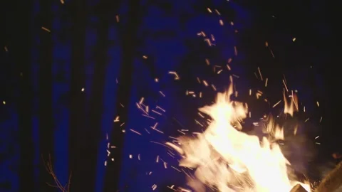 Close-up of female hand moving burning logs in campfire in the forest at night. Stock Footage 277701722