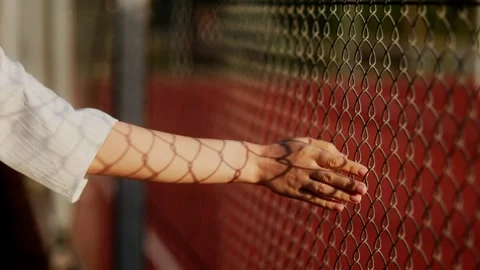 Close up of a female hand touching a wire fence in golden sunlight. Video stock 340848357