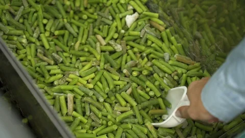 Close-up of a female hand using a scoop poured into a bag a green frozen string Stock-Footage 121271028