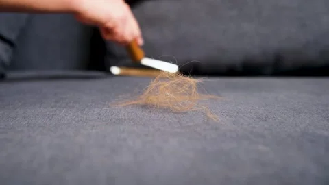 Close-up of a female hand using a special tool to remove animal fur and lint Vídeos de archivo 329440797