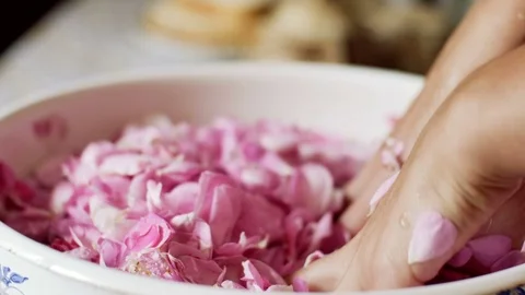 Close Up of Female Hands Cupping Delicate Pink Flower Bloom in Palms Stock-Footage 76733208