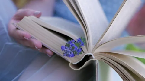Close-up female hands flip through pages of a book with wildflower Video stock 117403748