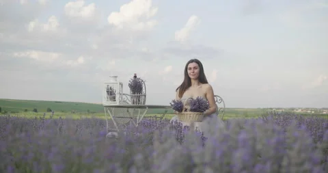 Close-up female hands making bouquets of lavender outdoors. Stock Footage 200540959