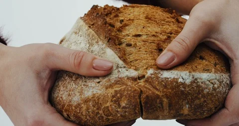 Close up of the female hands sharing a rye bread on the white background. Macro Stock Footage 86462568