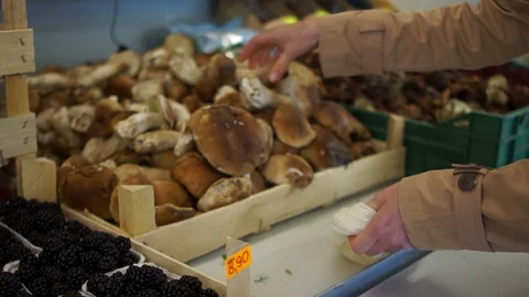 Close-up female hands stack fresh porcini mushrooms in a cloth bag in the market Stock Footage 119314568