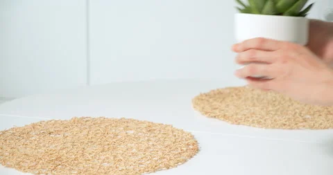 Close-up of female hands taking a pot of succulent flower from the table. Stock Footage 155451783