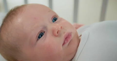 Close up of female hands touching nose of her cute newborn baby. Face portrait Stock Footage 219346138