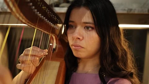 Close-up of Female Harpist Playing Strings in Warm Indoor Lighting Stock Footage 340596016