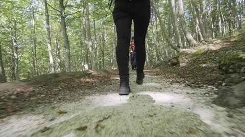 Close-up of female legs walking along a path in the autumn forest, bottom view Stock Footage 252198435