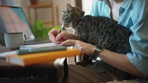 Close-up of a female student taking notes in a notebook Stock Footage 233586664