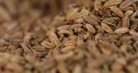 Close up a fennel seed herb texture background , 4k Dci resolution Stock Footage 92005072