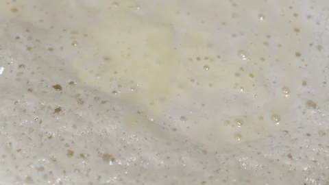 Close up, Fermentation, Sourdough, Air Bubbles on the Surface of Yeast Dough Stock Footage 246148663