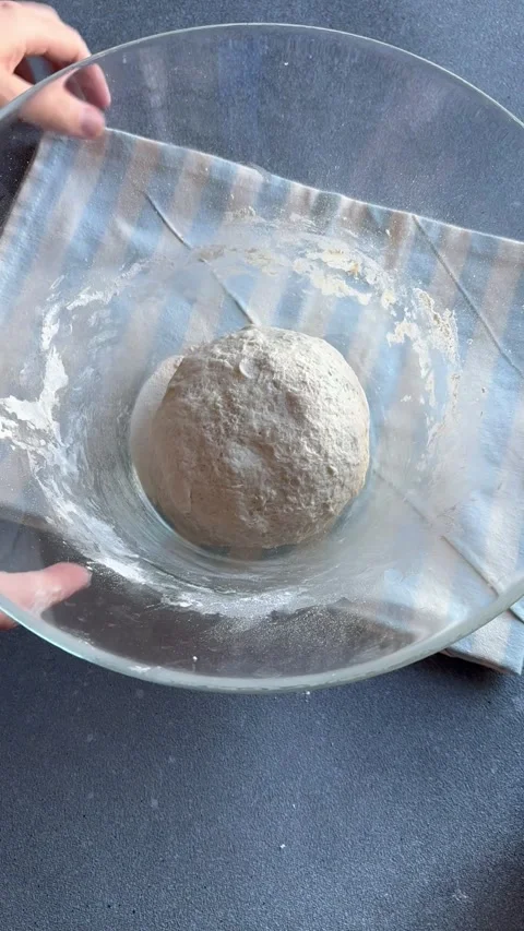 Close-up fermented doughs, homemade. Stock Footage 255864112