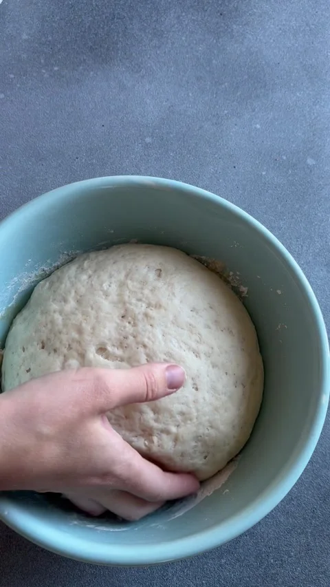 Close-up fermented doughs, homemade Stock Footage 255864114