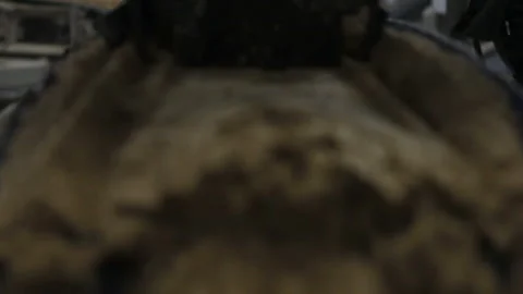 Close-up of fertilizer components being conveyed on a belt Stock Footage 139901067