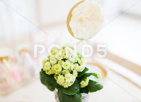 Close up of festive flower decoration Stock Photos