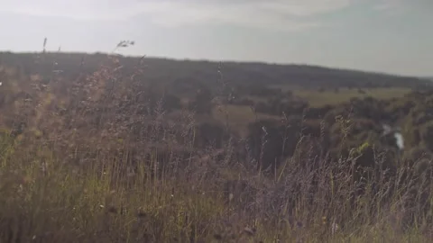 Close-up of a field rolling into ravines a forest and a lake Stock Footage 155954292