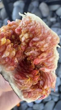 A close-up of a fig fruit inside the fruit Fotos Stock