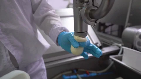 Close-up of filling cheeses in the process of making cheese in factory Stock Footage 129928135