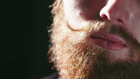 Close filmed face of a bearded red man twisting his mustache in bright sunlight Stock Footage 234049098