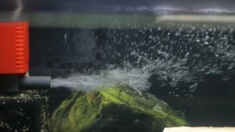 Close-up of a filter in an aquarium with fish 動画素材 302085741