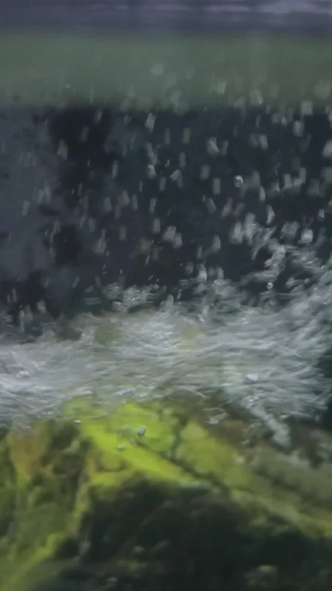 Close-up of a filter in an aquarium with fish Stock Footage 302099364