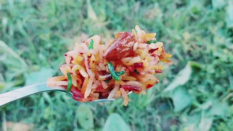 Close Up Final Bite Of Mutanjan Zarda Sweet Rice Stock Footage 333542024