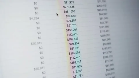 Close-up of financial cash flow data on PC screen. Vidéo 238553914