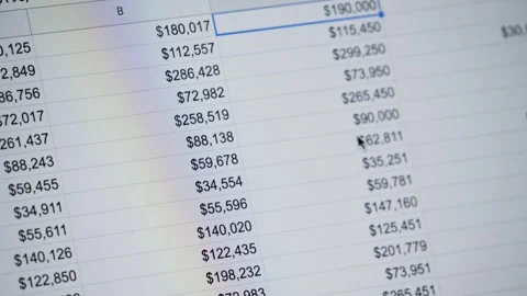 Close-up of financial cash flow data on PC screen. Tax report year declaration. 库存影片 247921964