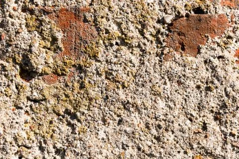 Close-up of fine structured mineralized stone exterior wall Stock Photos