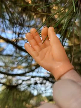 Close up of a finger puppet tiny hand touching pine Stock Photos