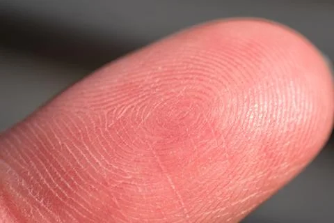 Close-up fingerprint analysis forensic study digital investigation indoor s.. Stock Photos